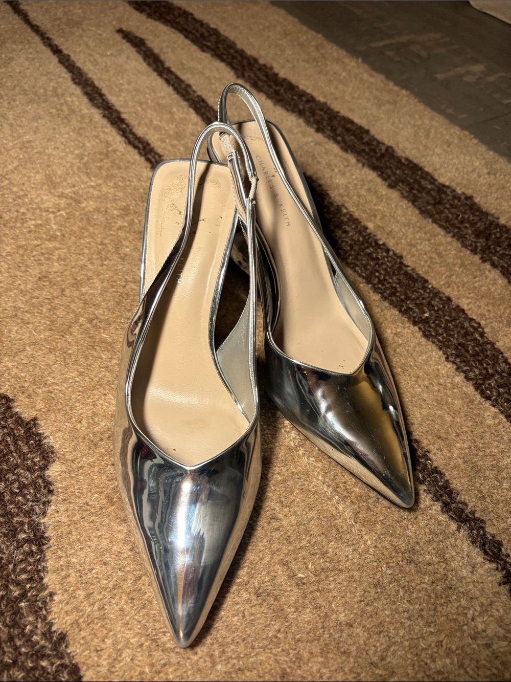 Silver Pointed-Toe Slingback Heels with Clear Block heel